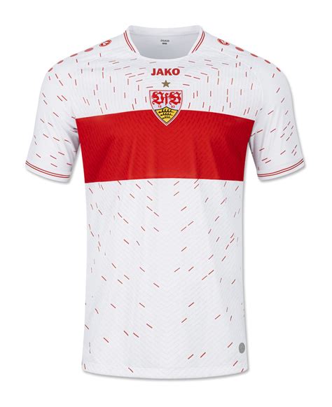 2023–24 VfB Stuttgart season